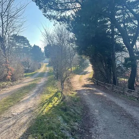 Hyggeligt Og Lyst Naer Stranden I Klint * Nykobing Sjaelland